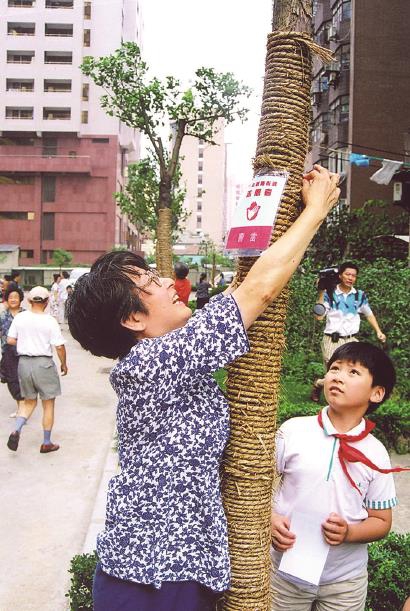 照片上,著名电影配音演员曹雷正在为她领养的大树上系挂她的领养铭牌